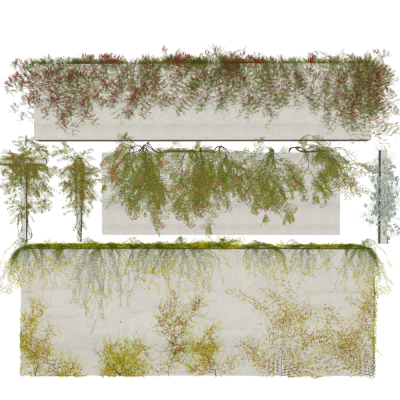 现代绿植藤蔓
