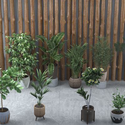 现代盆栽组合3D模型