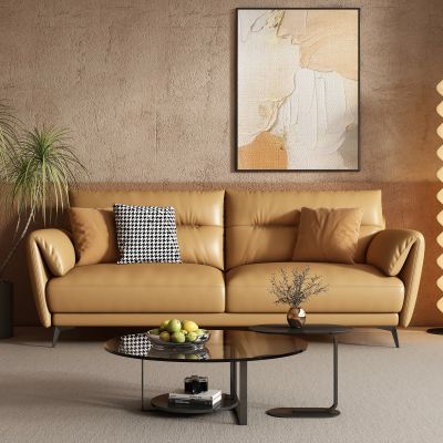 现代沙发茶几组合