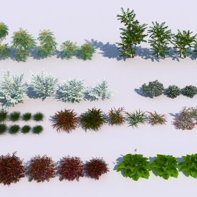 现代灌木组合3D模型