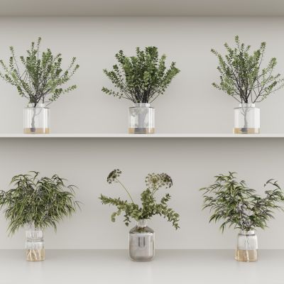 现代花瓶花艺组合 花瓶植物 花瓶花卉