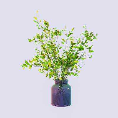 花瓶花艺水生植物3D模型