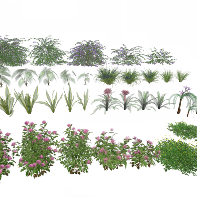 现代花卉灌木组合
