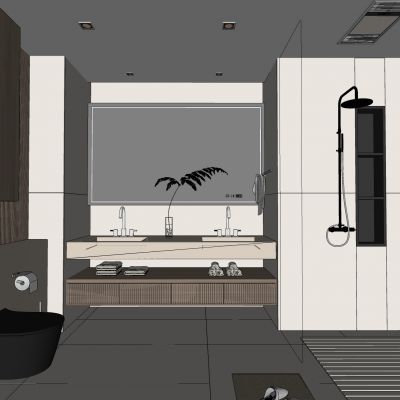 卫生间，台盆柜，淋浴房，坐便器，镜子，卫浴柜