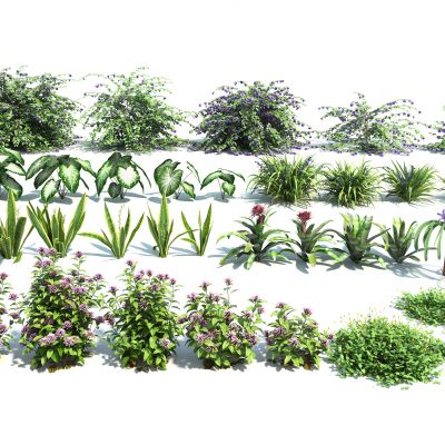 现代花卉灌木组合