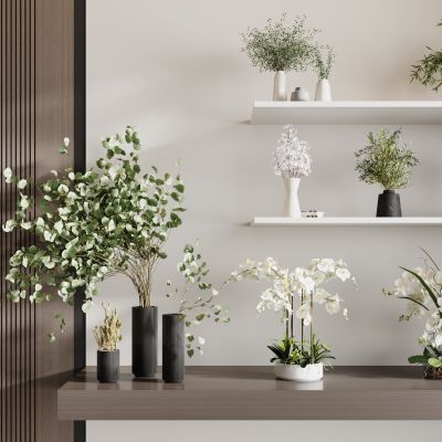 现代花瓶花艺组合 花瓶植物 花瓶花卉