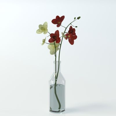 水生植物花瓶花艺装饰摆件