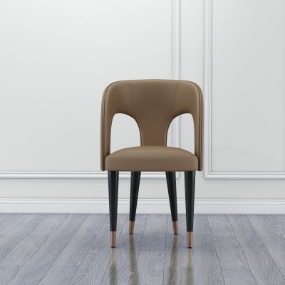 餐椅 现代餐椅 个性餐椅