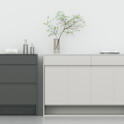 现代进门玄关鞋柜，储物柜，餐边柜，斗柜，装饰柜