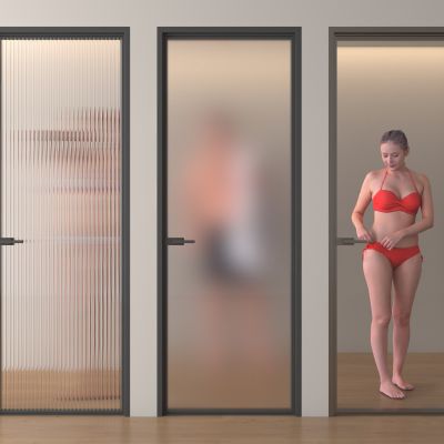 玻璃门 平开门 厨卫门3D模型