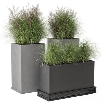 植物盆栽3D模型