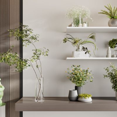 现代花瓶花艺组合 花瓶植物 花瓶花卉