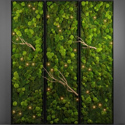 绿植,垂吊和墙面