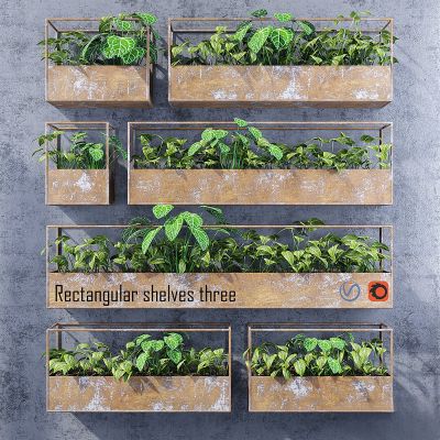 绿植,垂吊和墙面