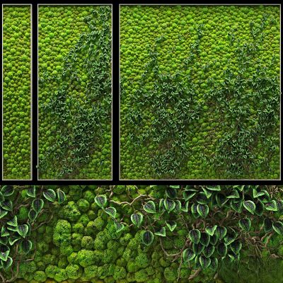 绿植,垂吊和墙面