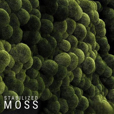 墙体门窗结构,造型墙