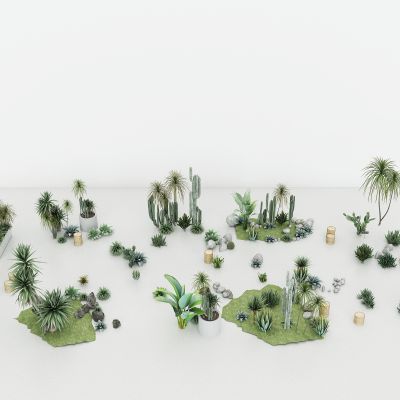 沙漠绿洲，绿植，植物，沙漠仙人掌，植物堆，盆栽，山丘草地，草皮，灌木