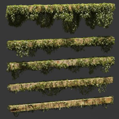 墙体门窗结构,柱梁