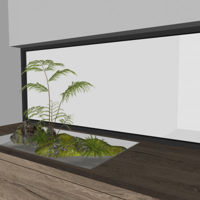 侘寂，玄关，植物小景，青苔，绿植，造景，新中式，盆景