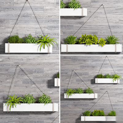 绿植,垂吊和墙面