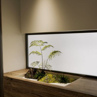 侘寂，玄关，植物小景，青苔，绿植，造景，新中式，盆景