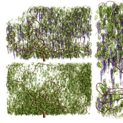 绿植,垂吊和墙面