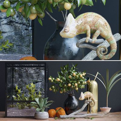 饰品摆件类,柜面摆设