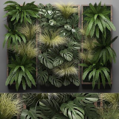 绿植,垂吊和墙面