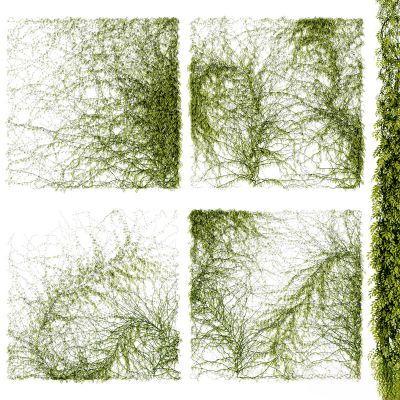 绿植,垂吊和墙面