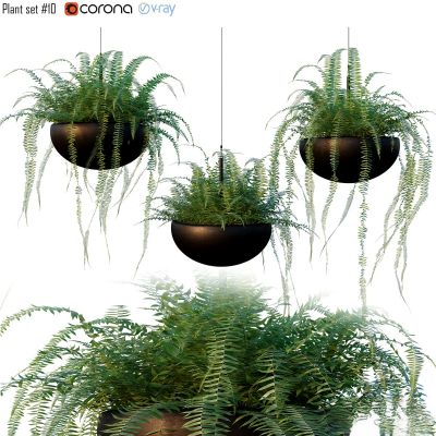 绿植,垂吊和墙面