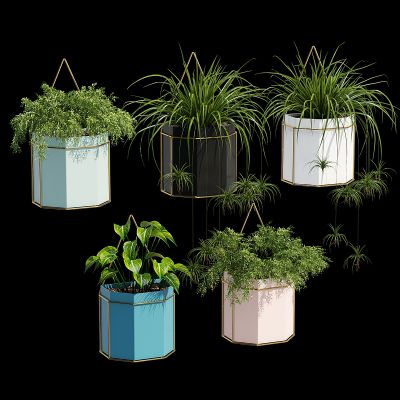 绿植,垂吊和墙面