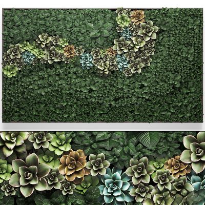 绿植,垂吊和墙面