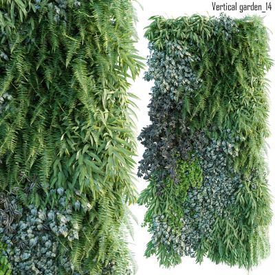 绿植,垂吊和墙面