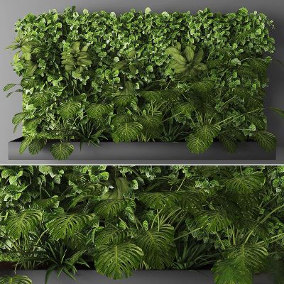 绿植,垂吊和墙面