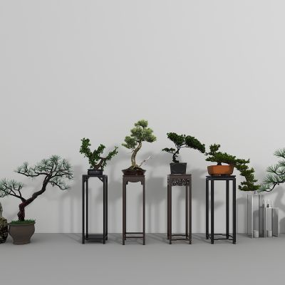 中式 边几 盆景 盆树