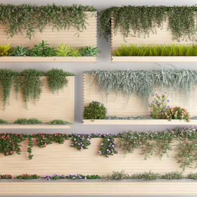 现代藤蔓绿植花箱 爬山虎 花卉藤蔓 树球 藤蔓架