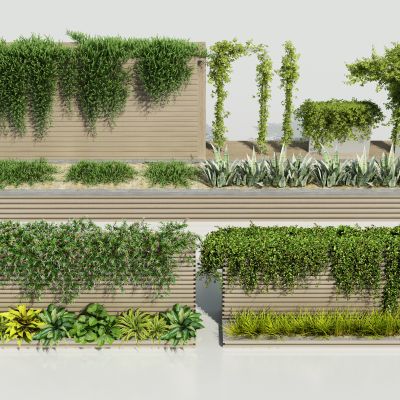 现代藤蔓绿植花箱 爬山虎 花卉藤蔓 树球 藤蔓架