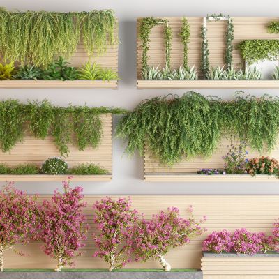 藤蔓绿植花箱 爬山虎 花卉藤蔓 树球 藤蔓架