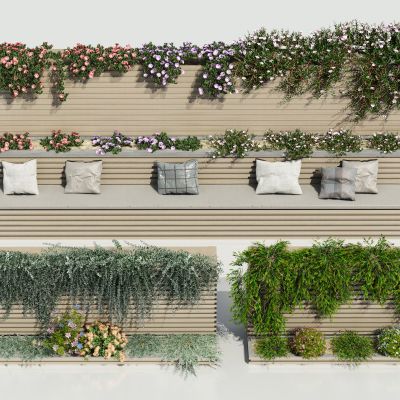 藤蔓绿植花箱 爬山虎 花卉藤蔓 树球 藤蔓架