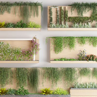 藤蔓绿植花箱 爬山虎 花卉藤蔓 树球 藤蔓架