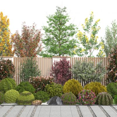 灌木球 球形植物 灌木丛 球形绿植 树木 植物堆 植物组合