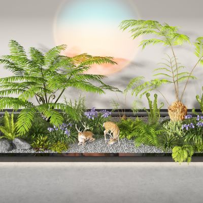 现代蕨类植物 蕨类庭院景观小品 景观造景 花坛