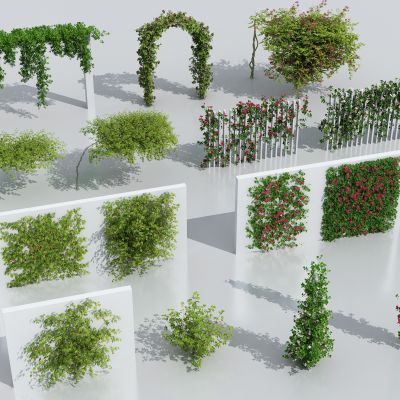 现代藤蔓绿植花箱 爬山虎 花卉藤蔓 树球 藤蔓架