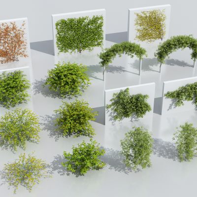 现代藤蔓绿植花箱 爬山虎 花卉藤蔓 树球 藤蔓架