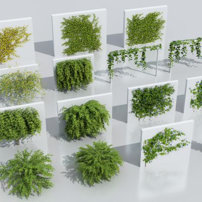 现代藤蔓绿植 爬山虎 爬藤 花卉藤蔓 植物墙