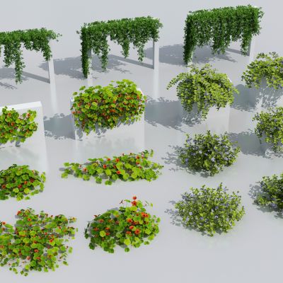 现代藤蔓绿植花箱 爬山虎 花卉藤蔓 树球 藤蔓架