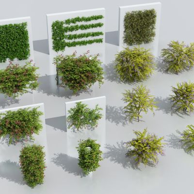 现代藤蔓绿植 爬山虎 爬藤 花卉藤蔓 植物墙