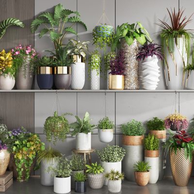 绿植盆栽 户外绿植花箱 吊兰 花卉盆栽 花盆 小盆栽