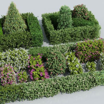  绿篱 方形灌木 方形树 方形绿篱 绿化带 法式绿植
