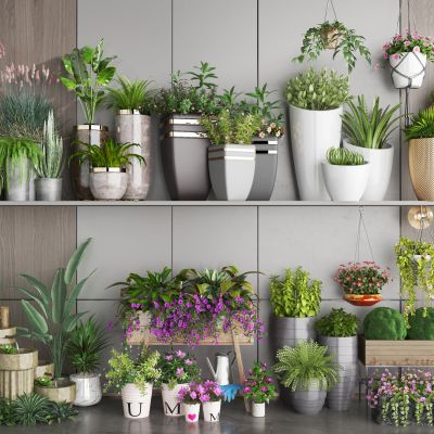 绿植盆栽 户外绿植花箱 吊兰 花卉花盆